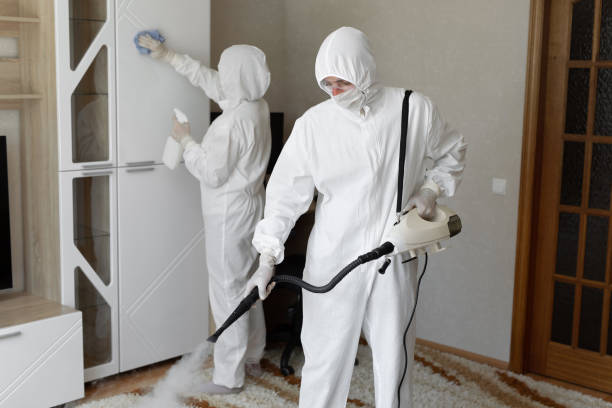 Best Emergency Mold Removal  in Scottville, MI