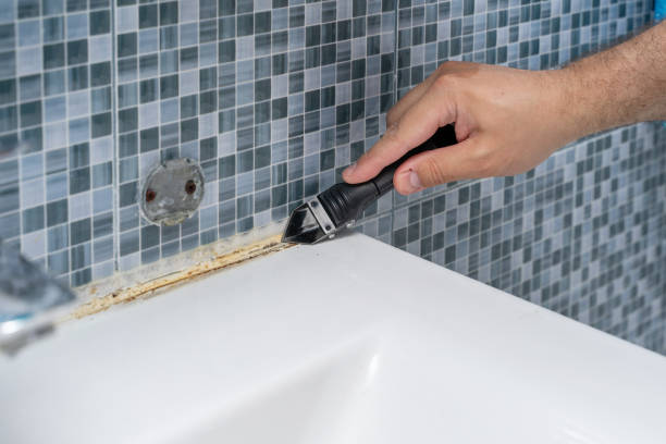 Best Toxic Mold Removal  in Scottville, MI