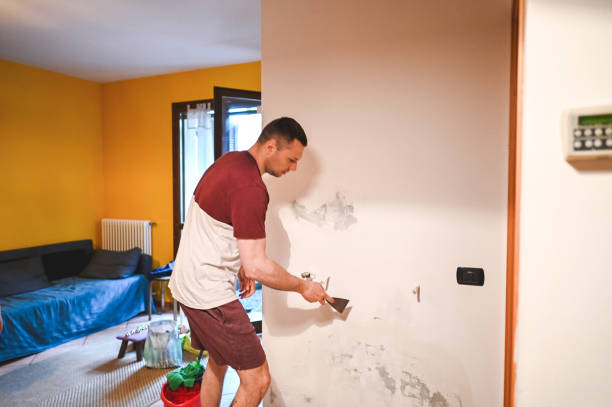 Crawl Space Mold Removal in Scottville, MI